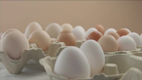 Egg prices have more than tripled from a year ago, putting pressure on local businesses that survive off eggs