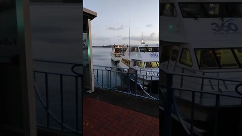 Ferrys at dawn