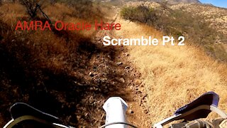 Oracle Hare Scramble PT2