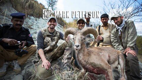 Pakistan Punjab Urial Sheep | Mark Peterson Hunting