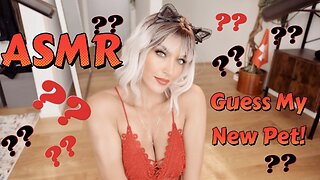 ASMR Gina Carla 🦑 Guess My New Pet!