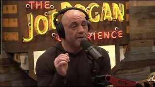 Joe Rogan: A School Was Forced To Install a Litter Box For A Student Who Identifies As A Cat