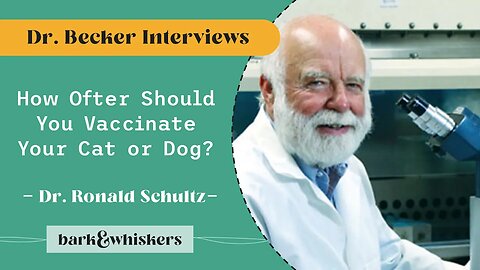Dr Karen Becker Interviews Dr Schultz (Part 1 of 4)