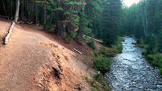 Getting Started @ Green Lakes Trailhead Hiking Beside NUMEROUS Fall Creek WATERFALLS! | HD | Oregon