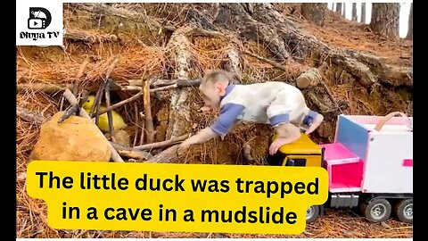 The little duck was trapped in a cave in a mudslide, and the little monkey struggled to rescue it.
