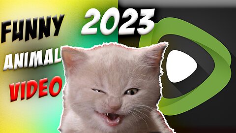 Funny cats video 2023, cats funniest 2023 video