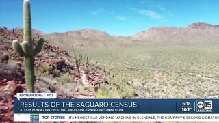 Results of the saguaro census study