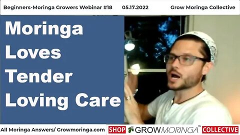 Moringa Loves Tender Loving Care