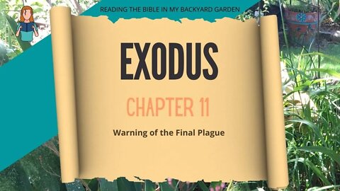 Exodus Chapter 11 | NRSV Bible Reading