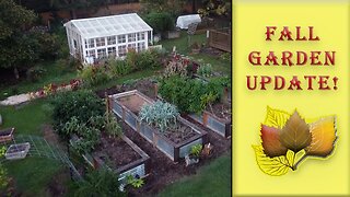 Fall Garden Update | VLOG