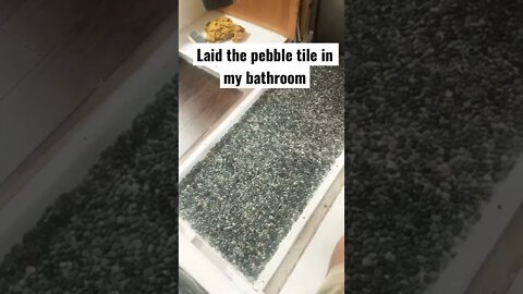 Laid pebble tile in my bathroom.