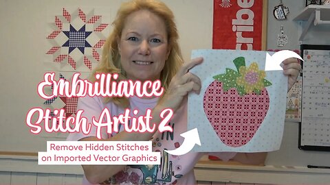 Embrilliance Stitch Artist 2, Remove Hidden Stitches on Imported Vector Graphics, Automate Applique!