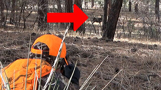 This Mule Deer STARES as Hunter lays ready with .308 rifle...