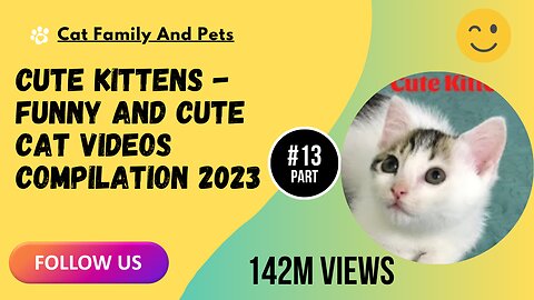 Cute Kittens - Funny and Cute Cat Videos Compilation 2023 Part 13