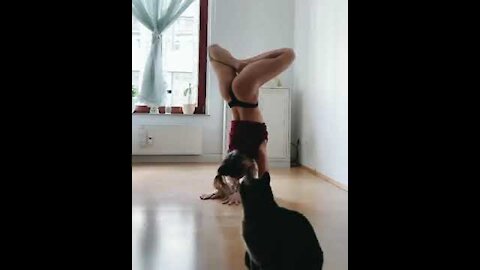Yoga Girl handstand Stretching, Flexibility, Contortion, contortionist