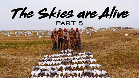 WE HIT 100!!! Our BEST DAY of waterfowl hunting in SASKATCHEWAN - The Skies are Alive P.5