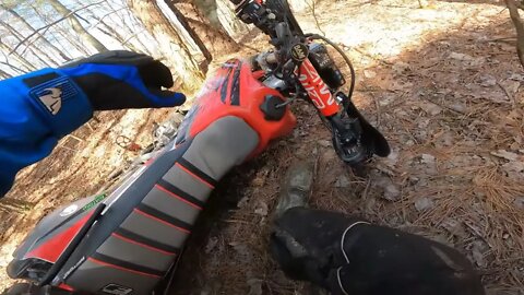 BASHING hot fat dual sport dinosaurs through the bush!