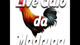 Hoje tem Live Galo da Madrúga...