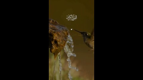 dua#religion#reels#islamicvideo