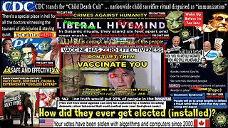 DON'T LET THEM VACCINATE YOU! THE LIES ARE TOO BIG TO HIDE - COVID = "FLU"