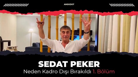 Sedat Peker Neden Kadro Dışı Bırakıldı? (1. Kısım)