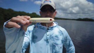 MUST HAVE Topwater Lures and Twitchbaits for Inshore Fishing