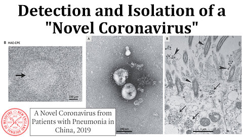 COVID-19 Paper Results: Detection and Isolation of a "New Virus"