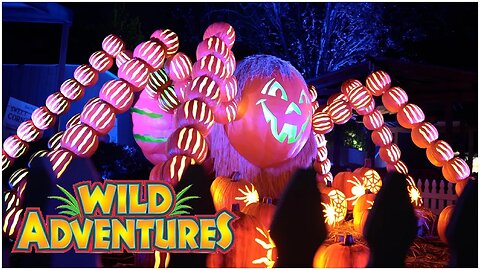 Great Pumpkin LumiNights Event Tour & Review | Wild Adventures Theme Park