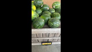 Watermelons for sale