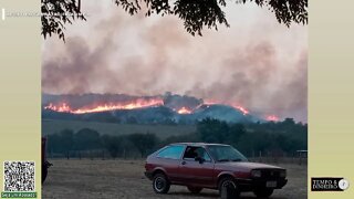 Fogo consome áreas secas em reservas e lavouras no RS