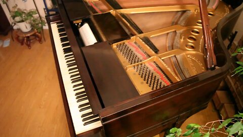 Vintage Music Steinway Duo-Art Player Piano, Christmas Hark The Herald Angel's Sing