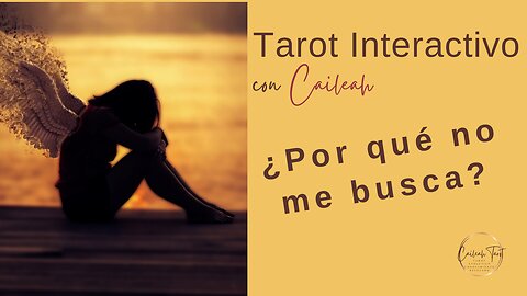 Tarot Interactivo: ¿Por qué no me busca?