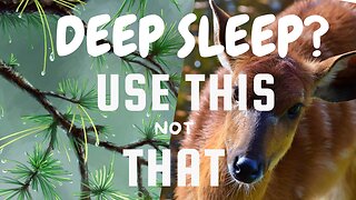 Need a Good Night's Sleep?