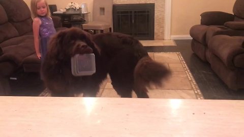 Smart Newfoundland brings bowl when asked