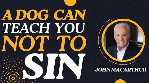 A Dog Can Teach You How Not to Sin | John MacArthur Classics