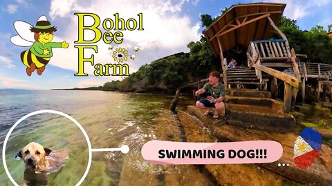 Bohol Bee Farm | Panglao, Bohol