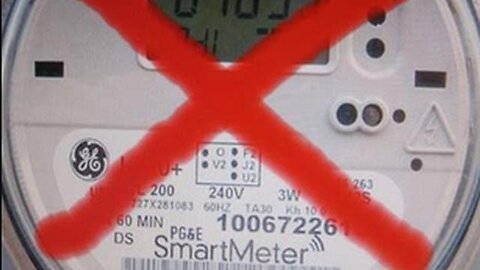 "Smart meters, they're invading the human body, right down to the cellular level."