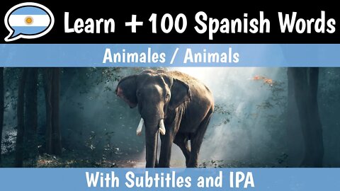 Listado de Animales en Castellano! Learn +100 Animals in Spanish and Argentinian Spanish with images
