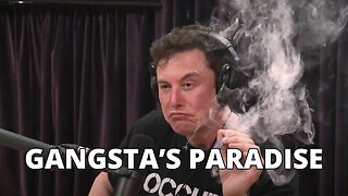 Elon Musk - I Don't Ever Give Up Gangsta's Paradise