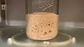 My sourdough starter smells like nail polish, how I fix it !!!