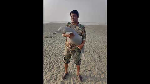 Dolphin release at Indus river