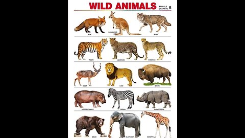 List of Animals! Learn 20+ Animals with Pictures | Animal Names in English.Wild animals names Pictur