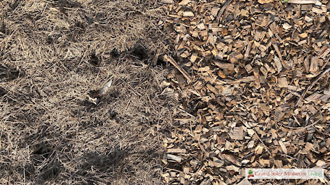 How Different Mulches Impact Water Flow and Soil In Your Garden