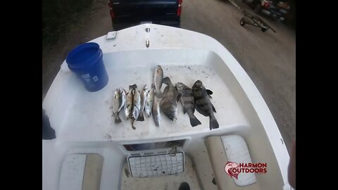 High Tide Trout Beaufort SC