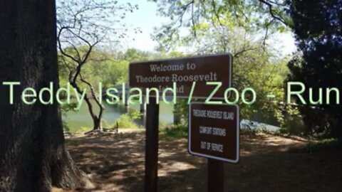 Teddy Island/Zoo Run