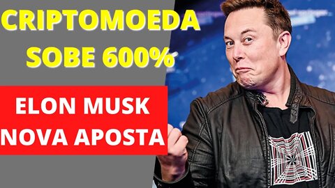 CRIPTOMOEDA VALORIZA 600% ELON MUSK