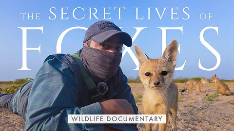 The SECRET LIVES OF FOXES - Little Rann of Kutch Wildlife Documentary | DESERTS OF INDIA Finale
