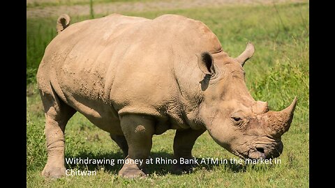 Withdra Money at Rhino Bank ATM in the Market in Chitwan