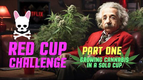 Red Solo Cup Challenge Part 1 of 2 - Growing Weed in a Party Cup