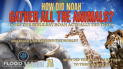 How Did Noah Gather All the Animals? Does the Bible Say He did? Flood Series 7A